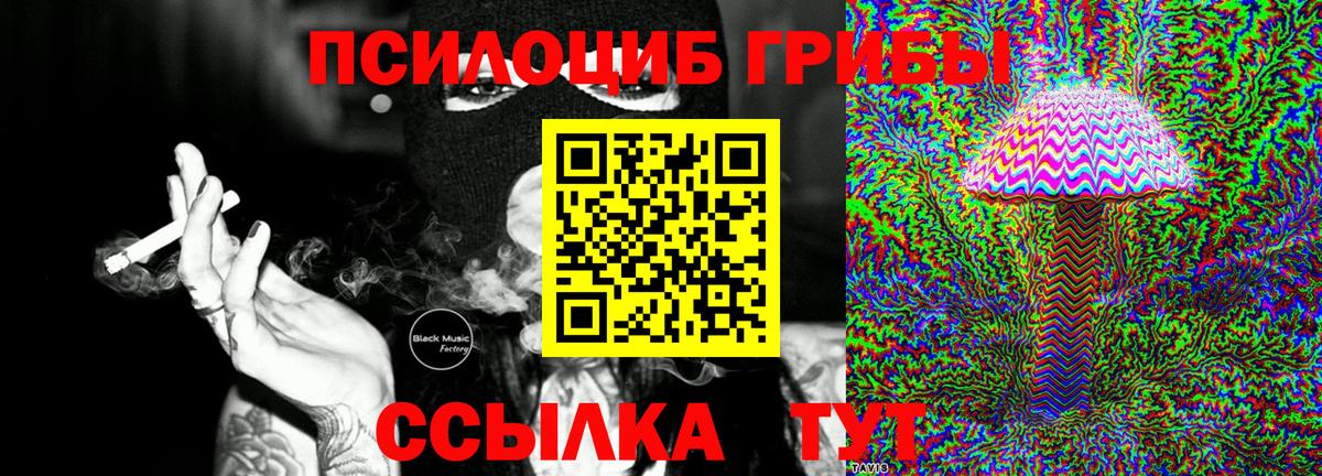 Ханты-Мансийск  Псилоцибиновые грибы Psilocybine cubensis  Вход с VPN 